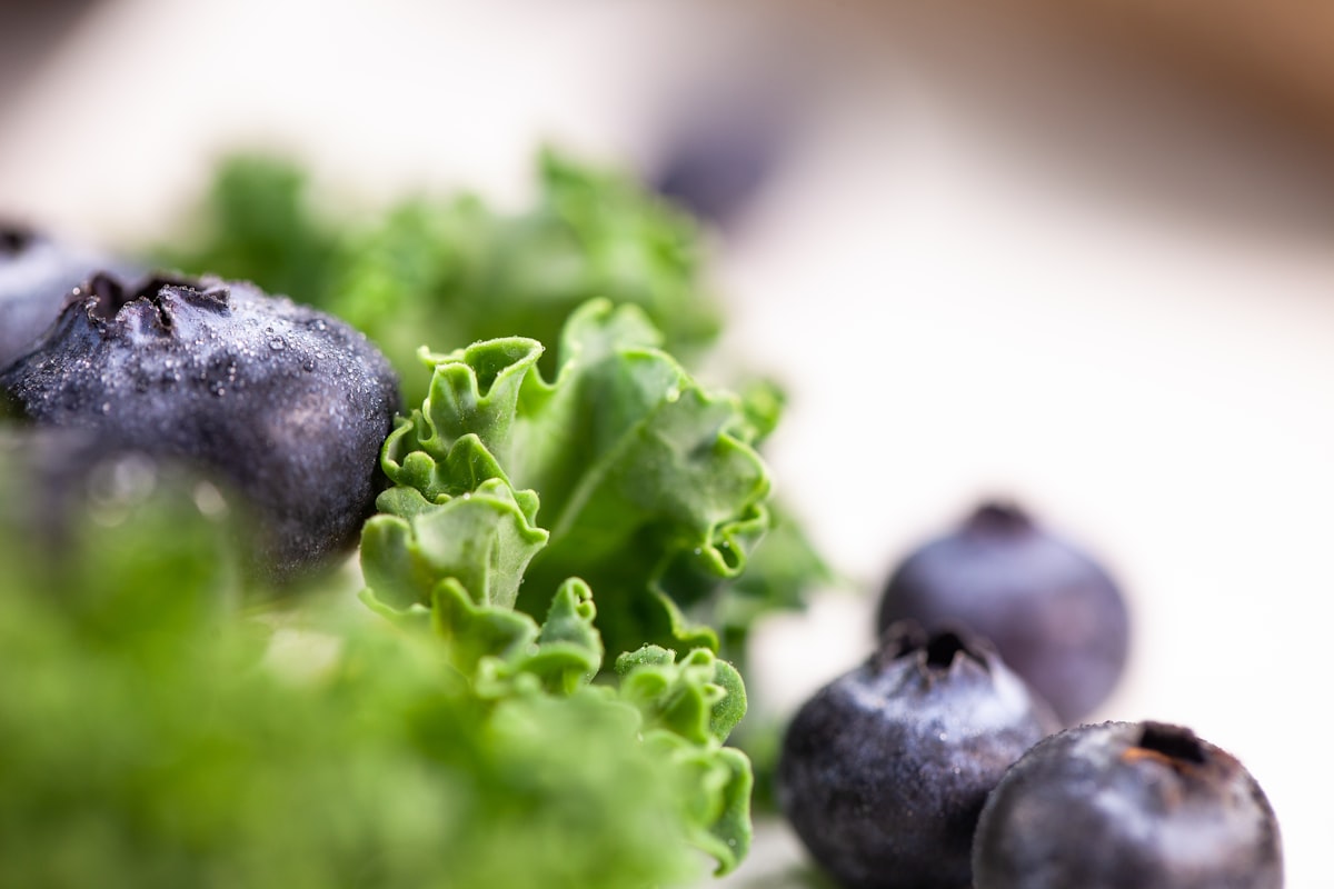 Nutritious foods for vision health